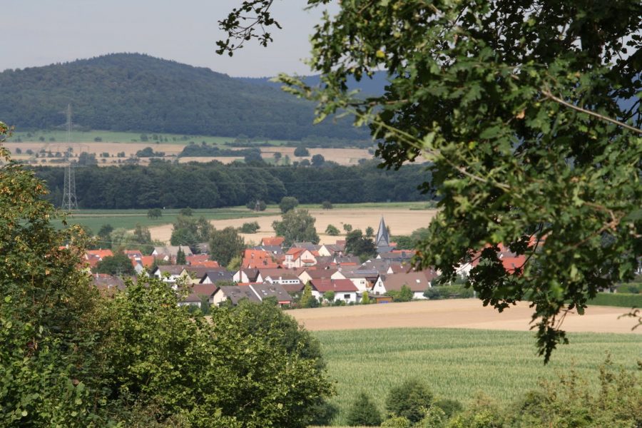 SPD Hasselroth