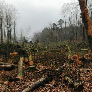 Beseitigung des schienengleichen Bahnübergangs